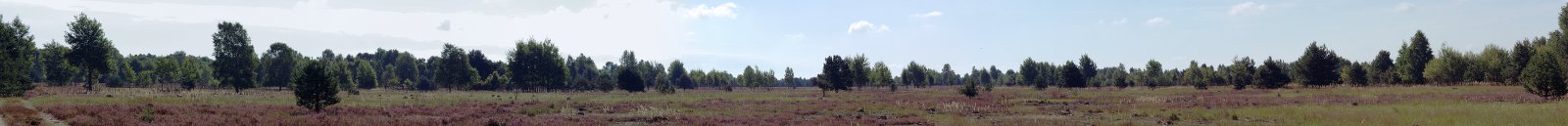 Kloster Himmelpfort, Erholungsort im Wald- und Seengebiet im Norden der Mark Brandenburg: Tangersdorfer Heide